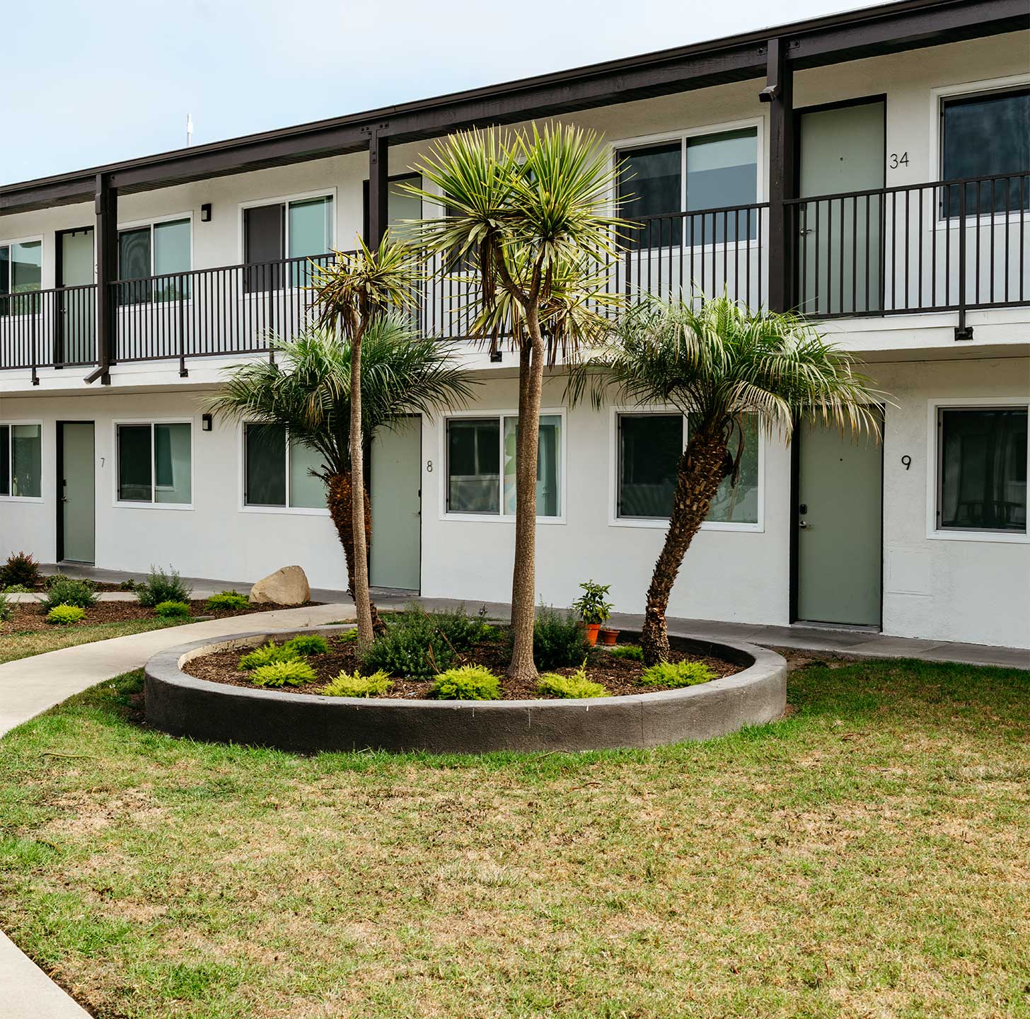 palm trees outside apartment units