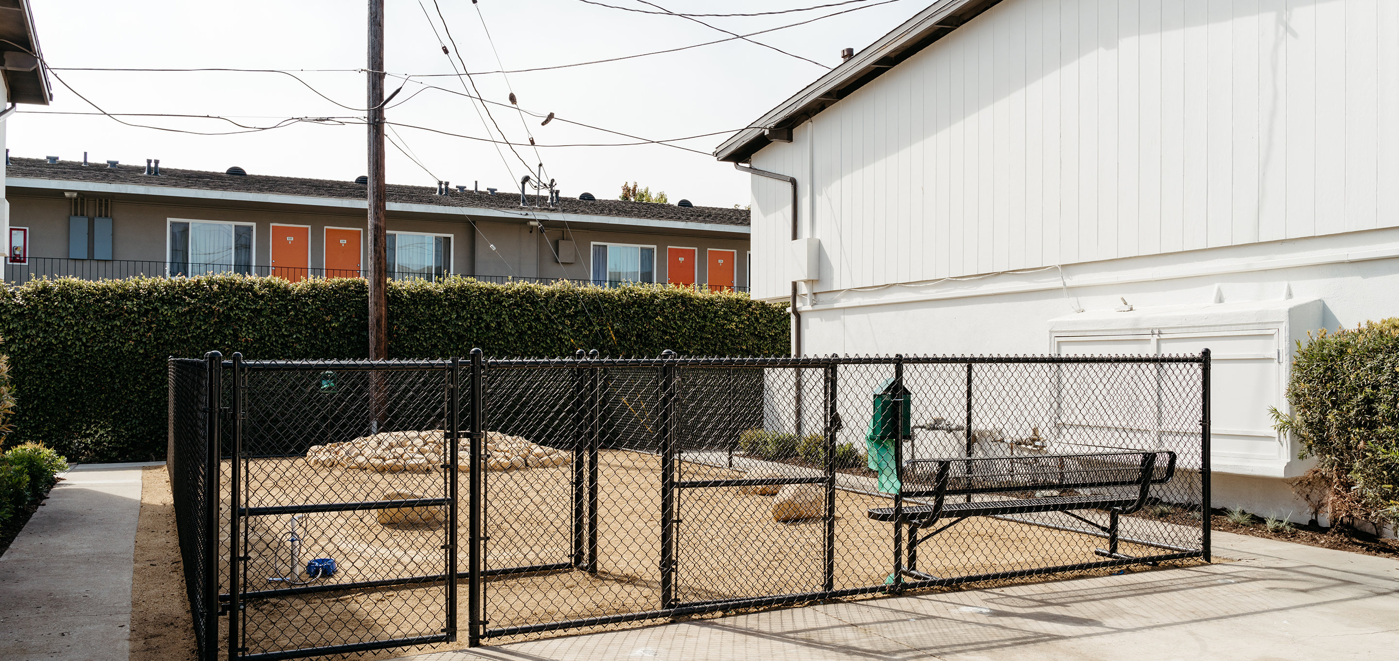 Dog park